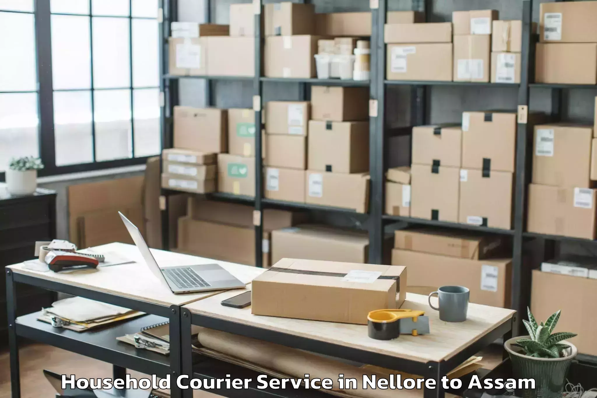 Easy Nellore to Bongaigaon Pt Household Courier Booking